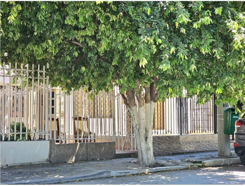 🏡​ Casa en venta cerca al Polideportivo en Santa Marta | 3 habitaciones 👩‍👩‍👧‍👧✔️​